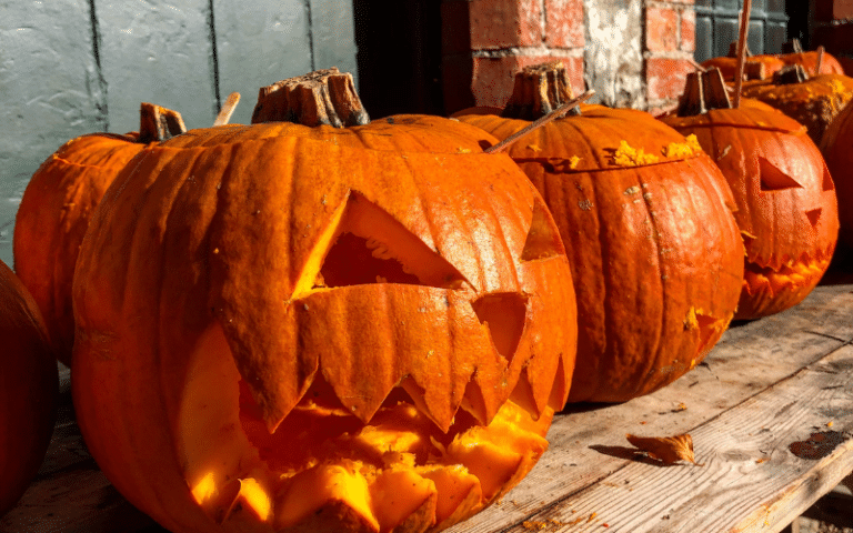 Autumn Fundraising Ideas For Charities