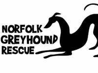 Norfolk Greyhound Rescue (Ngr)