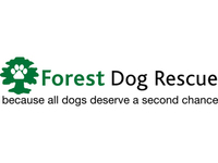 Forest Dog Rescue