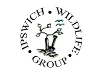 Ipswich Wildlife Group