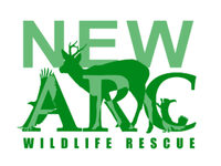 New Arc Wildlife Rescue