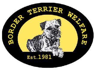 Border Terrier Welfare