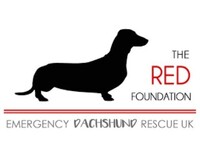 The Red Foundation Emergency Dachshund Rescue and Rehoming Charity