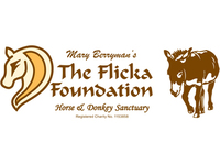 The Flicka Foundation