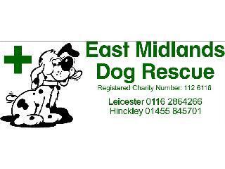 East Midlands Dog Rescue