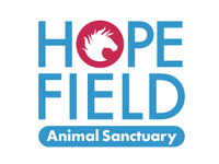 Hopefield Animal Sanctuary