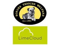 Lime Cloud Limited supporting Border Terrier Welfare