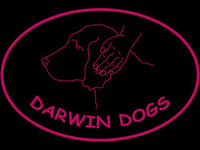 Darwin Dogs