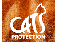 Chiltern Cats Protection