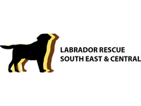 Labrador Rescue South East & Central