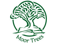 MOOR TREES