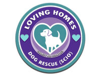 Loving Homes Dog Rescue