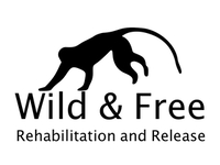 Wild & Free - Rehabilitation and Release