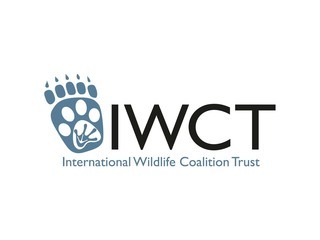 International Wildlife Coalition Trust