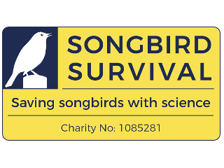 SONGBIRD SURVIVAL