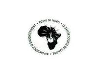 Pan African Book Foundation