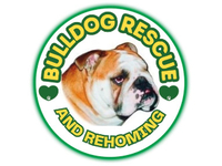 Bulldog Rescue & Re - Homing Trust