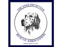 ENGLISH SETTER RESCUE ASSOCIATION