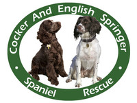 Cocker and English Springer Spaniel Rescue (CAESSR)