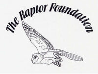 THE RAPTOR FOUNDATION