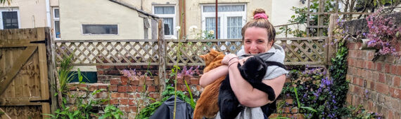 Feline fine fundraising challenge 