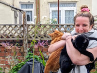 Feline fine fundraising challenge 