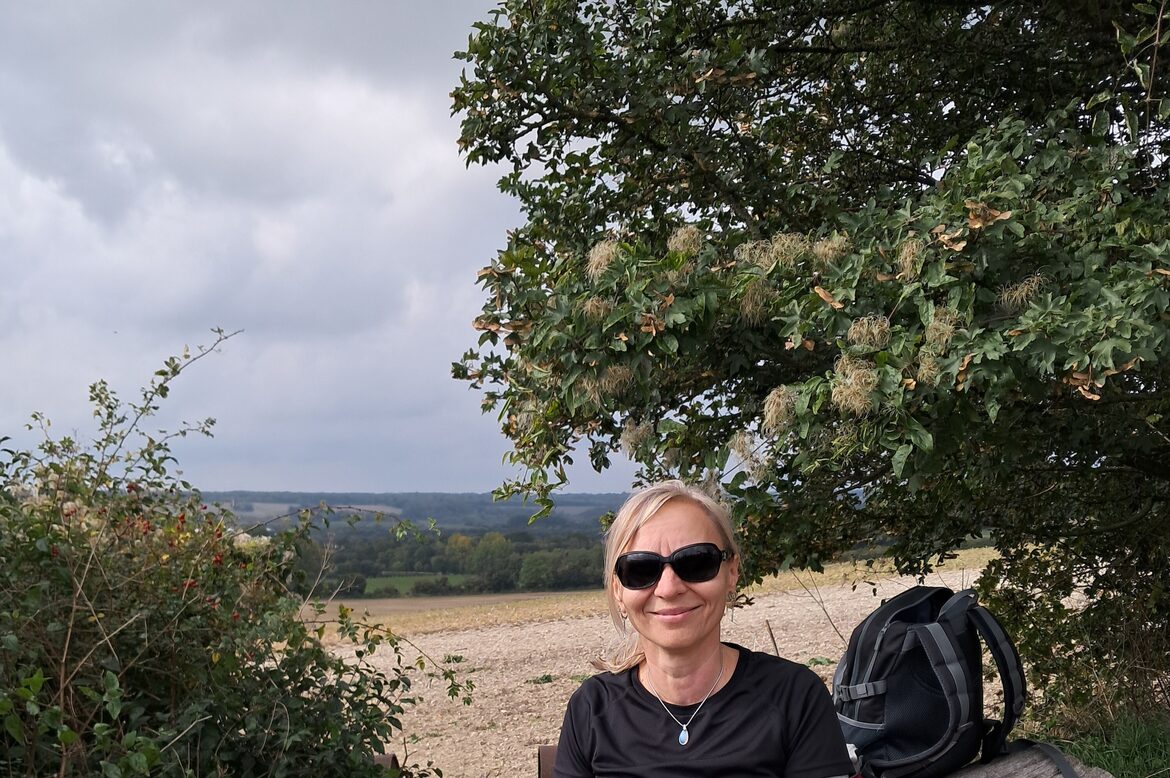 Image uploaded with update