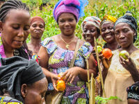 A clay brick house for women's projects