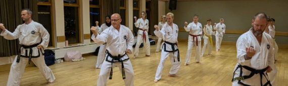 Blue Dragon TaeKwon-Do Kickathon 2025