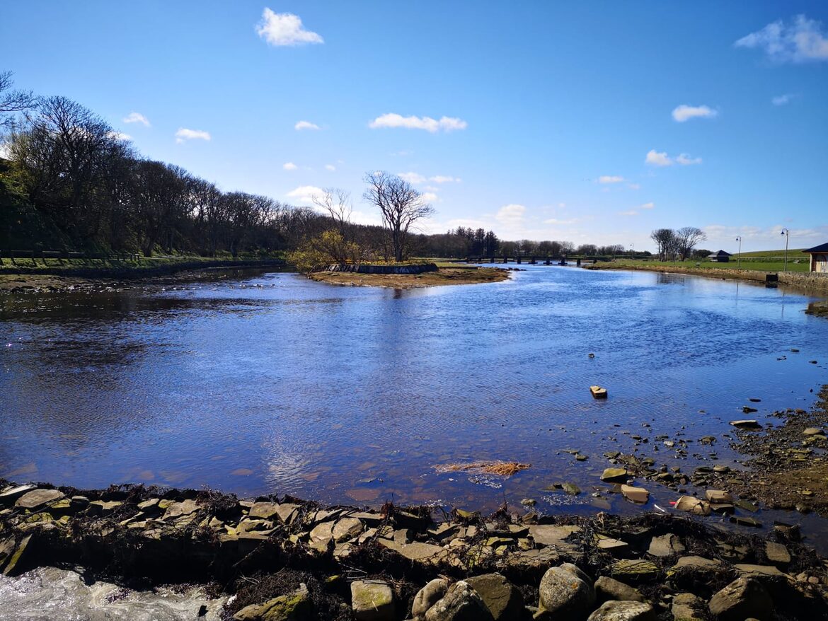 Image uploaded with update