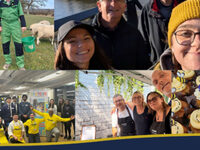 Accent fundraising for Little Troopers