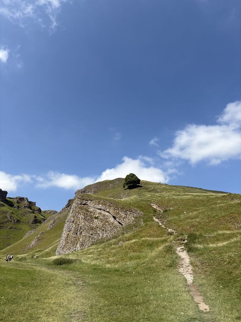 Image uploaded with update