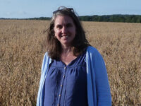 First Marathon at 57...what could possibly go wrong!