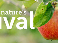 From Soil to Soul: Recipe's for Nature's revival!
