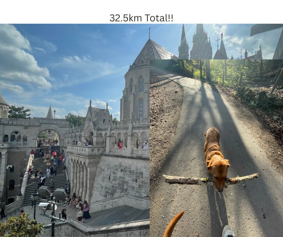 Image uploaded with update