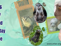 IOSF World Otter Day 2026 Raffle