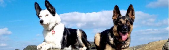 Why I'm Running the Montane Winter Spine Challenger to Raise Funds for MRSDE