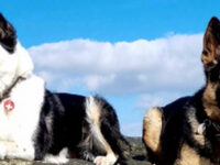 Why I'm Running the Montane Winter Spine Challenger to Raise Funds for MRSDE