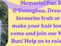 Sully's Fun Run 