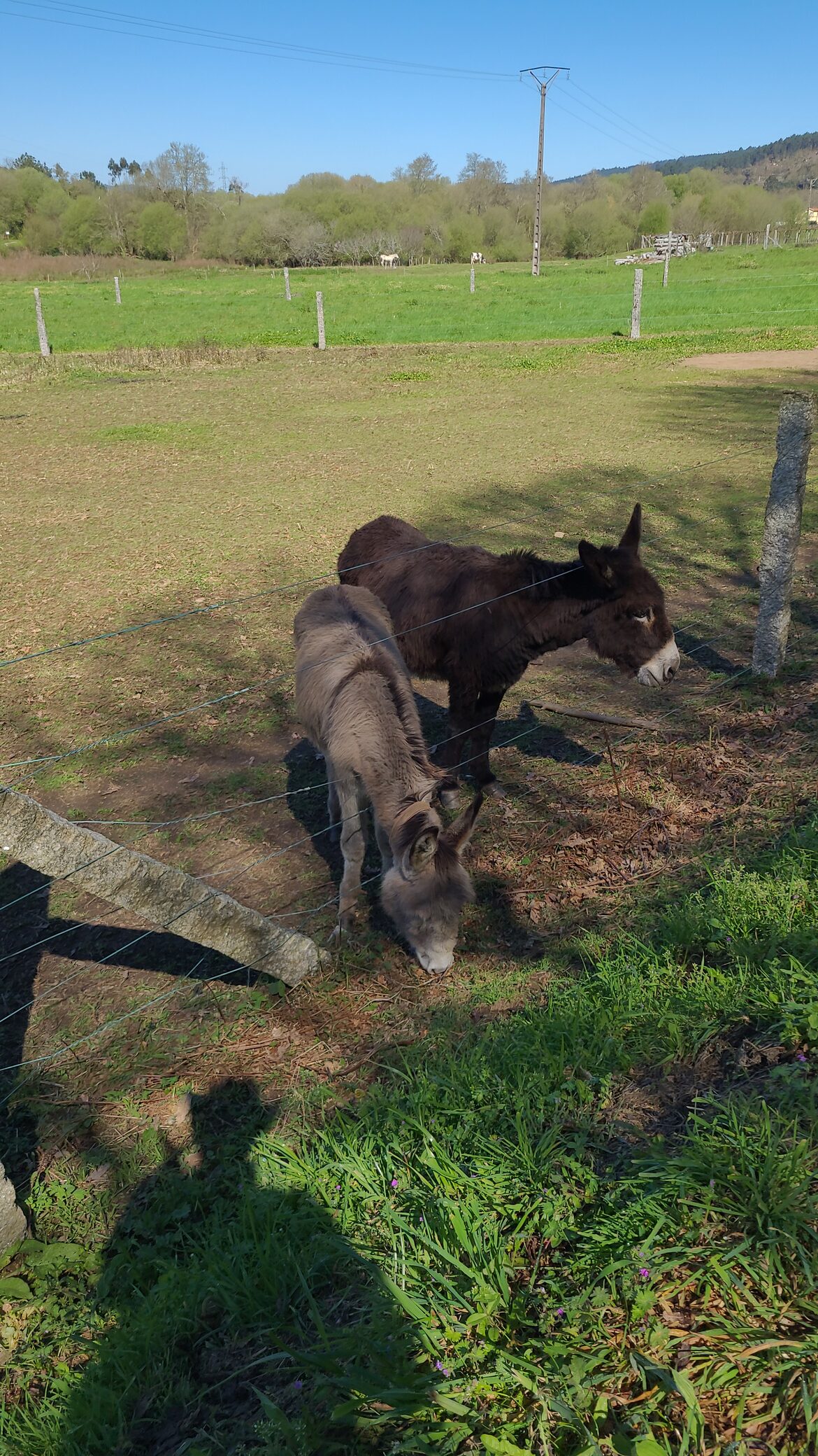 Image uploaded with update