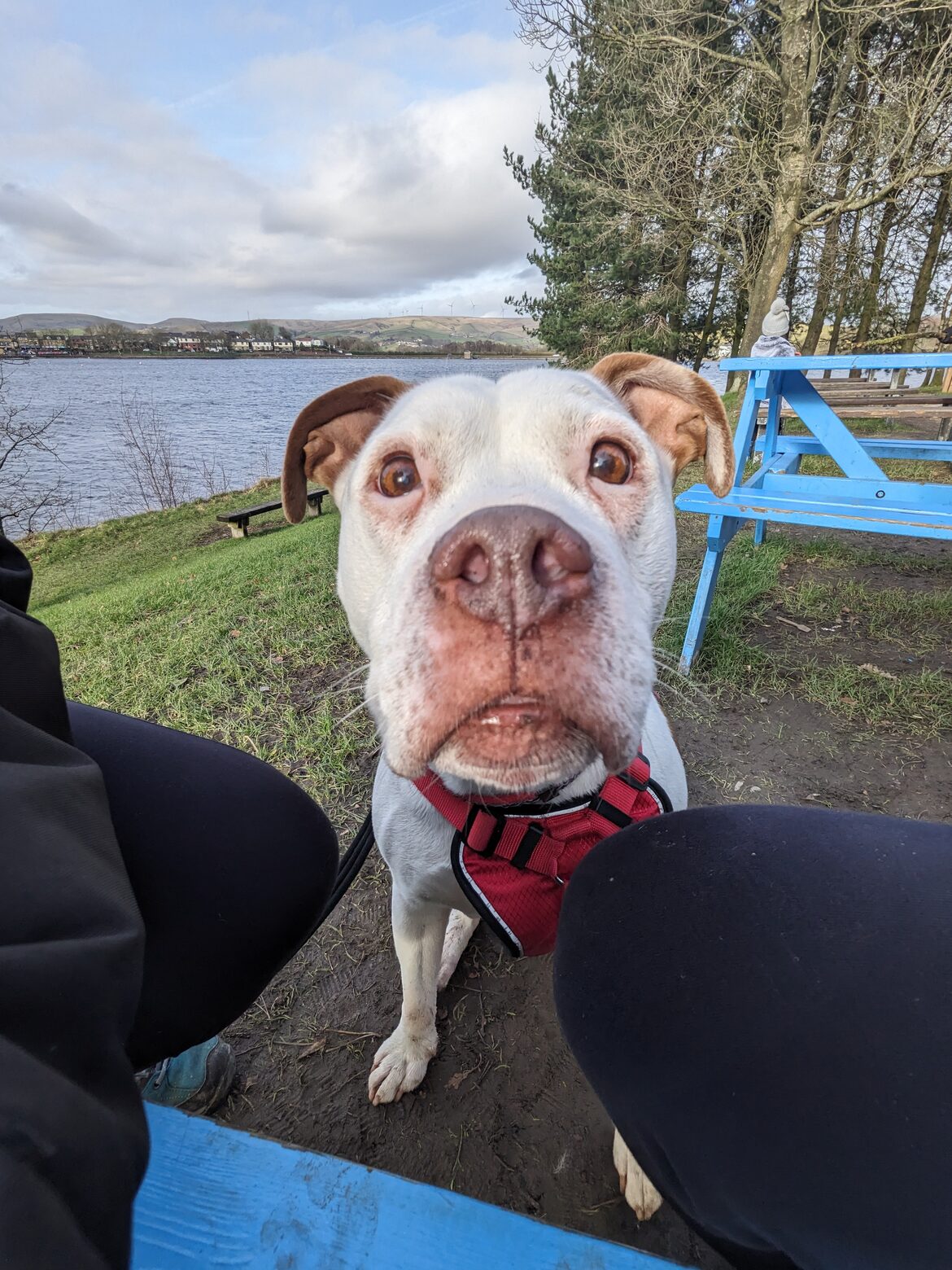 Image uploaded with update