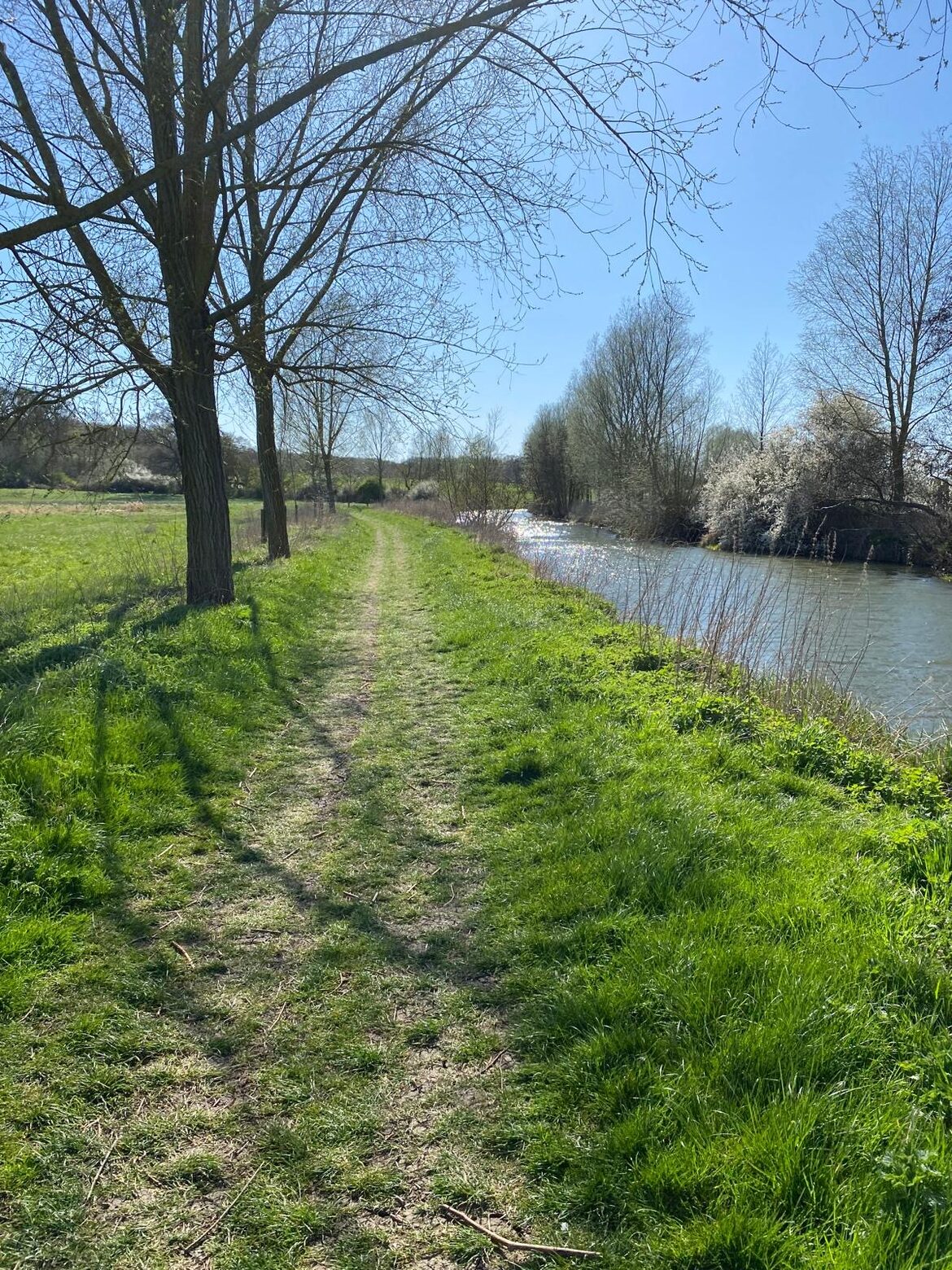 Image uploaded with update