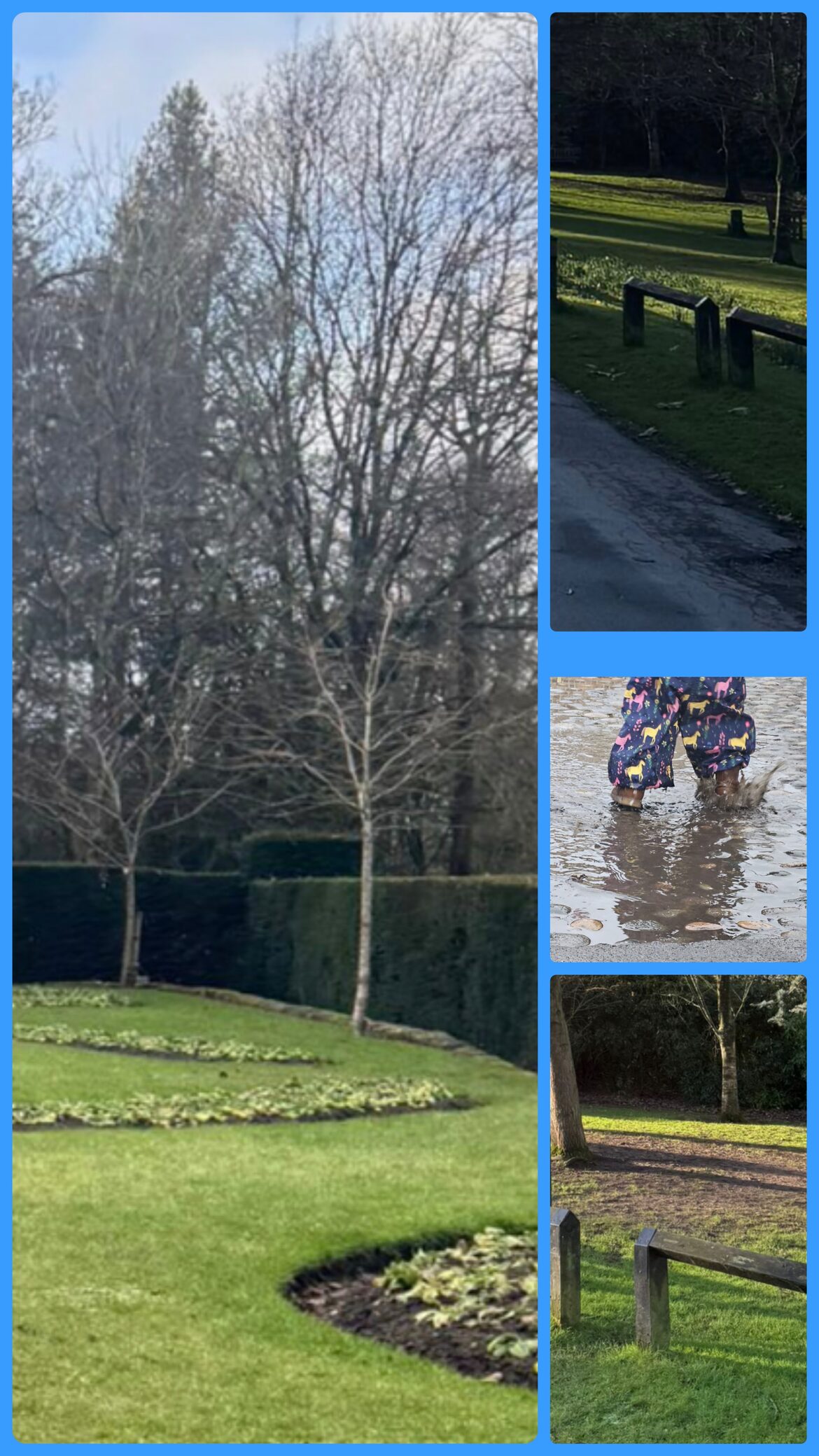 Image uploaded with update