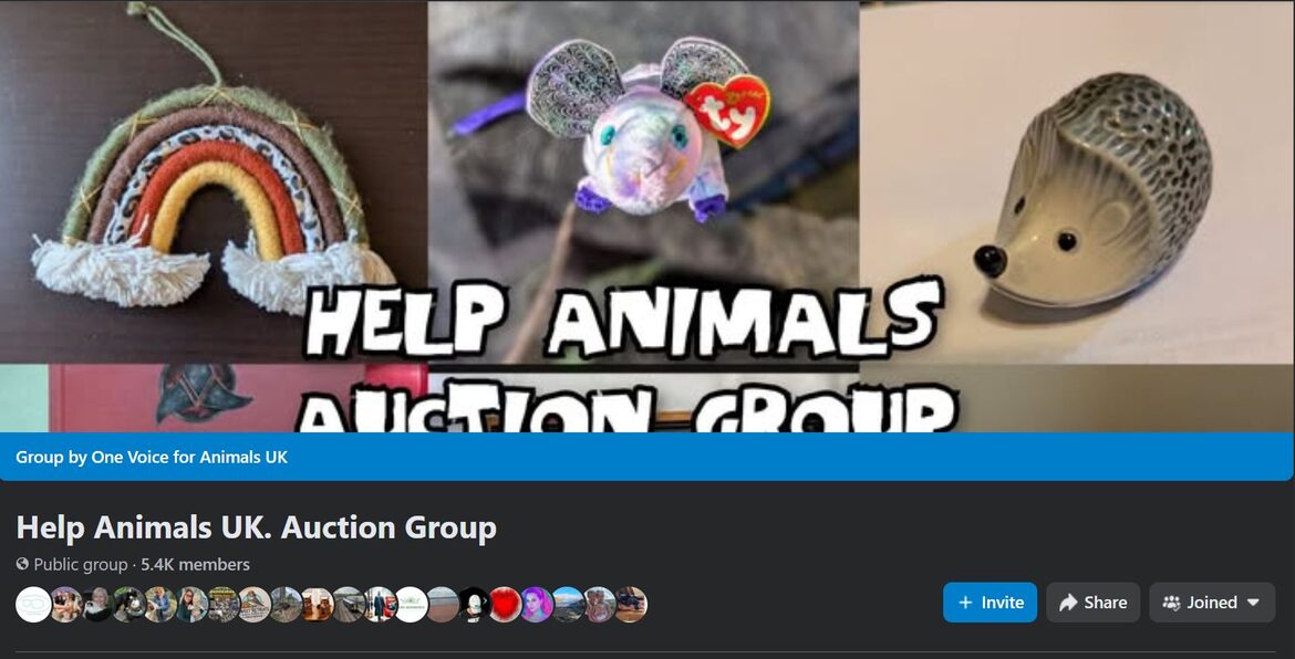 Image uploaded with update