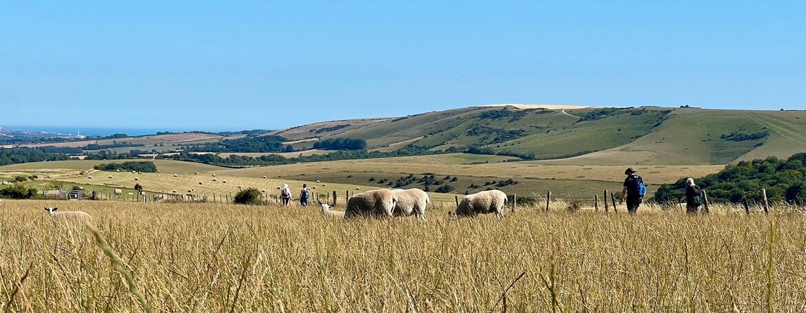 Image uploaded with update