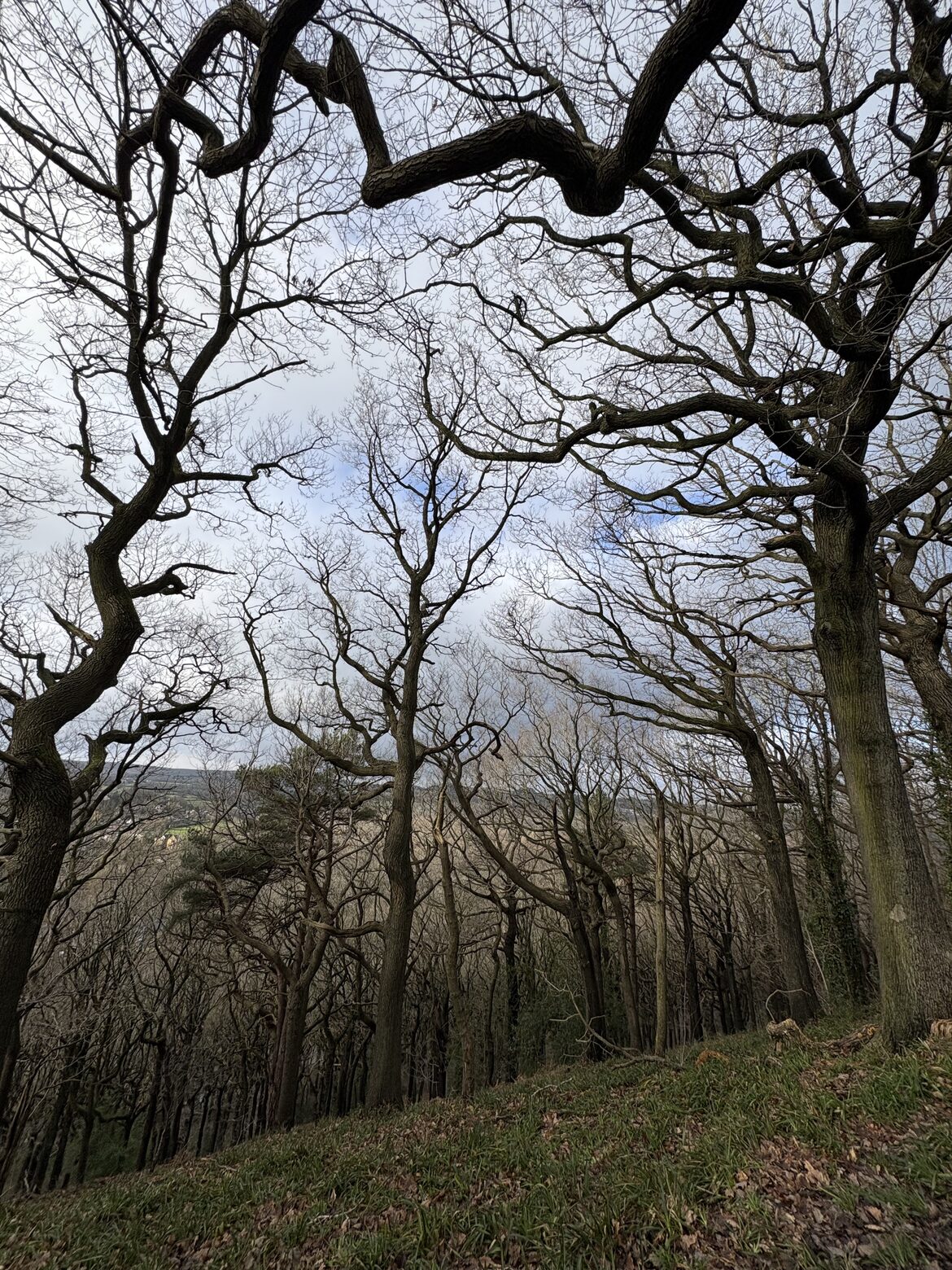 Image uploaded with update