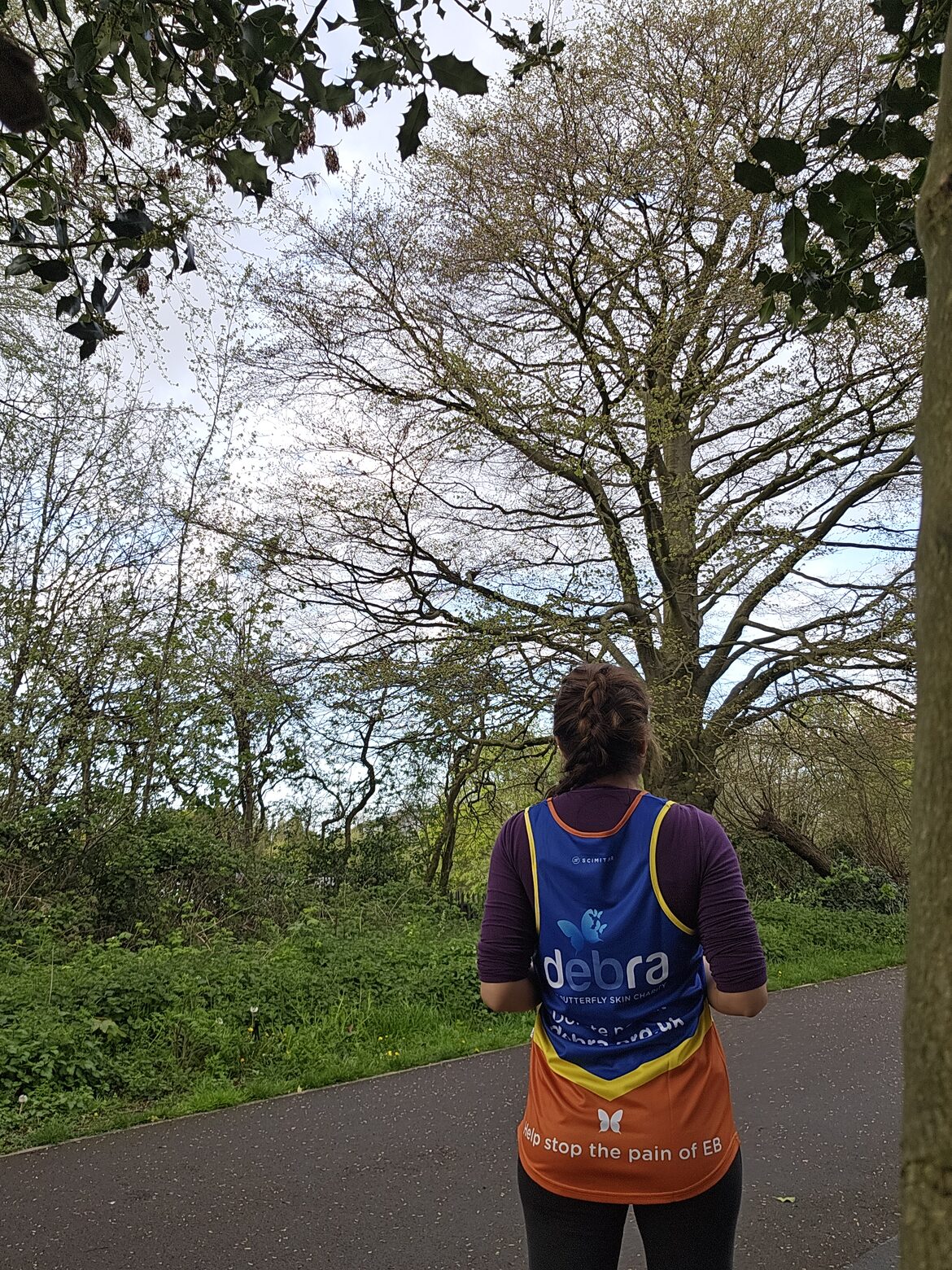 Image uploaded with update