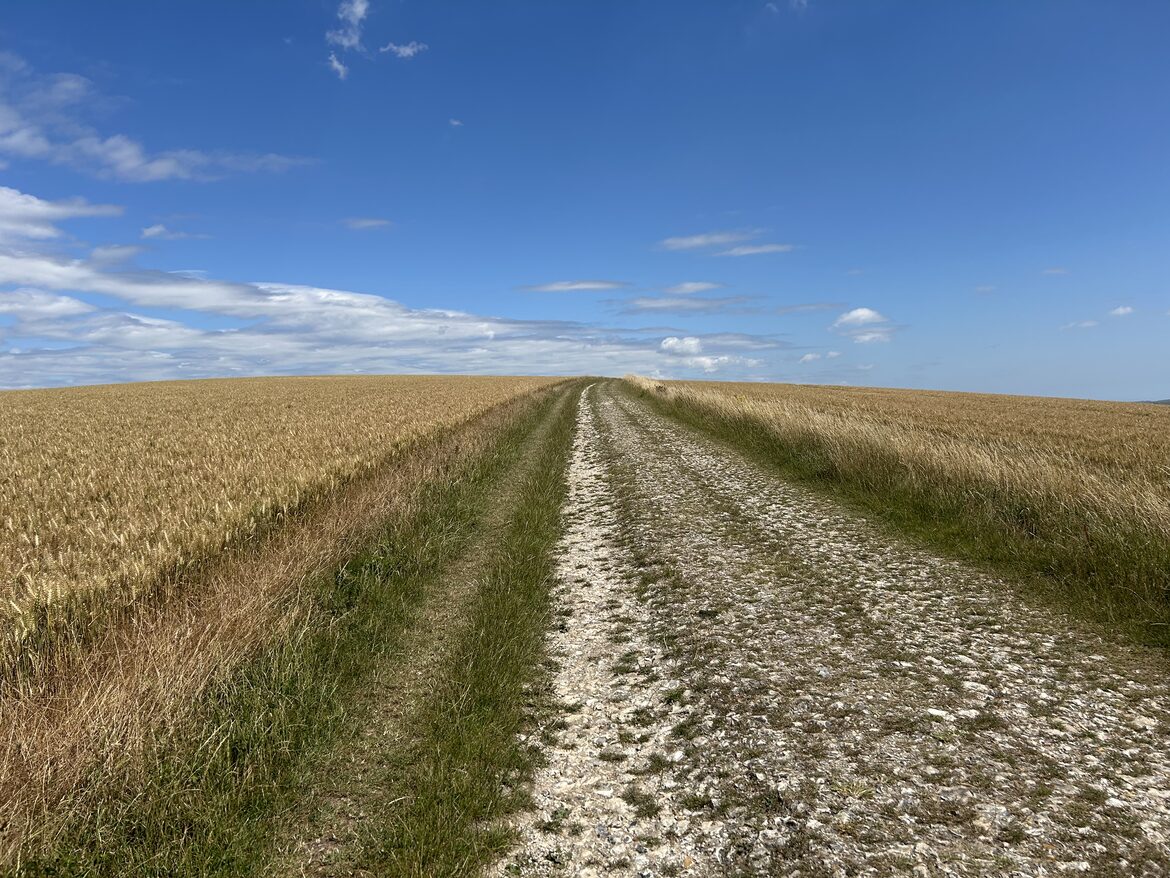 Image uploaded with update