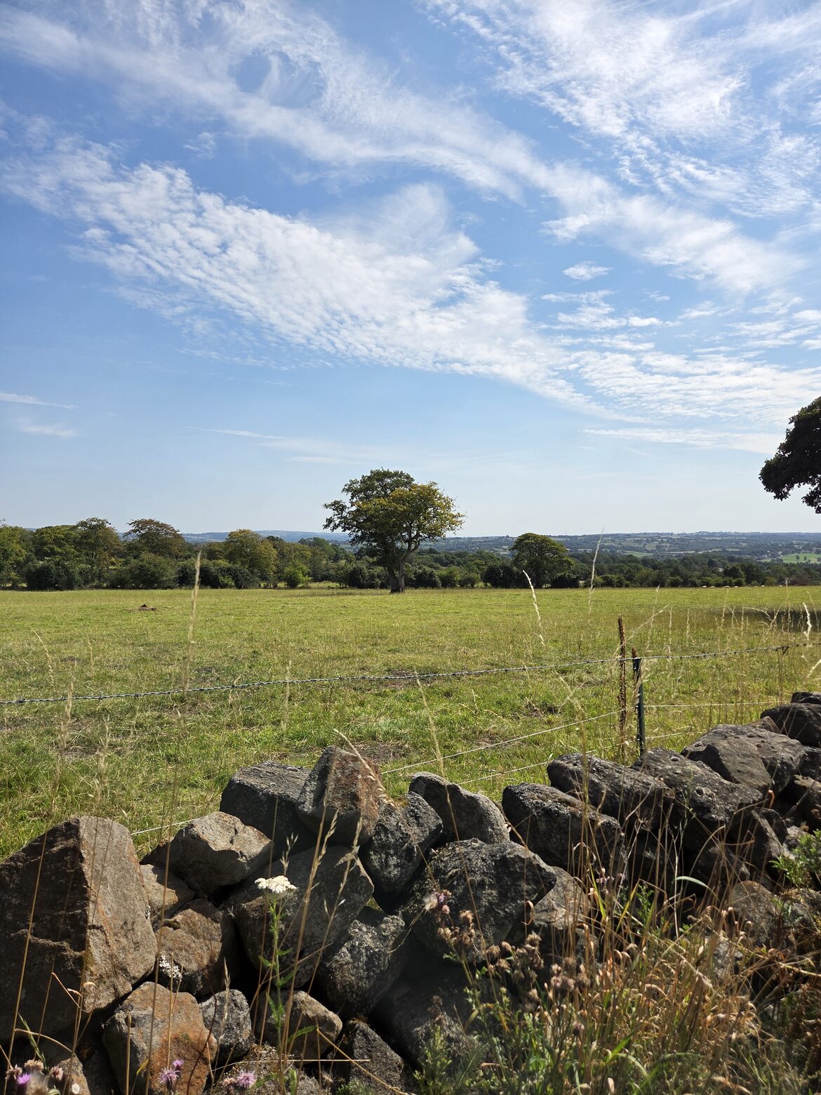 Image uploaded with update