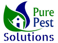 Pure Pest Solutions 